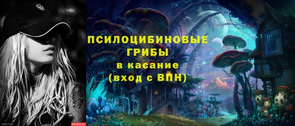 MDMA Бородино