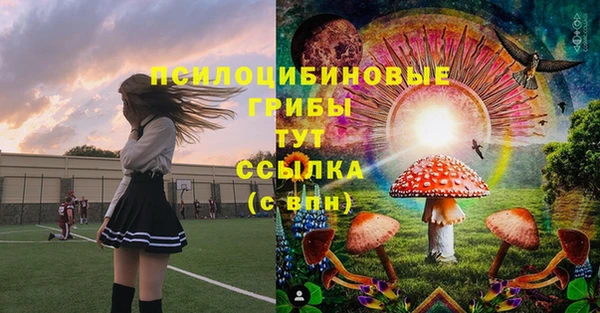 MDMA Бородино