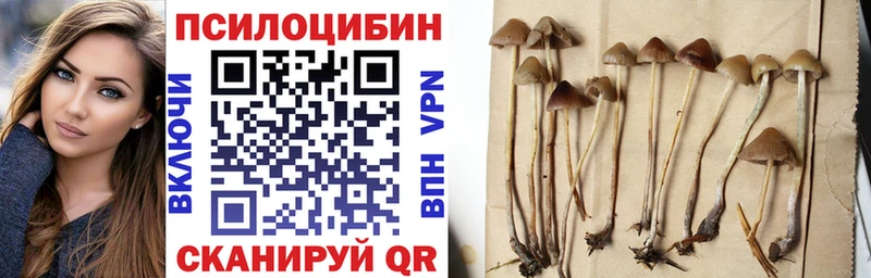 Купить  Полевской  Псилоцибиновые грибы Magic Shrooms 