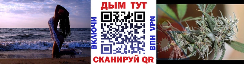 Купить где  Полевской  Канабис Amnesia 